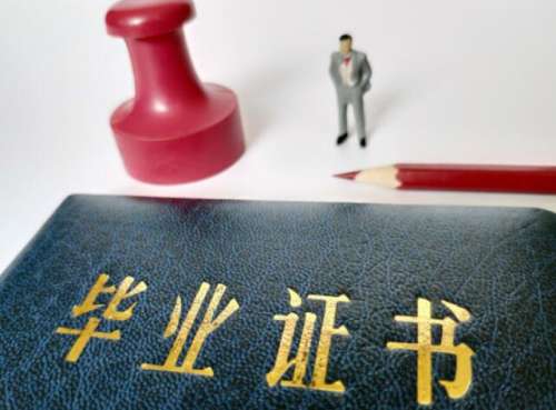 本科在读学历怎么填？看这篇就够了，别再填错！